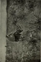 Picture 385 of 509 from International studio (1897), leaf 333
