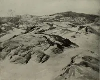 Picture 401 of 509 from International studio (1897), leaf 348