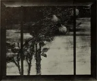Picture 497 of 509 from International studio (1897), leaf 436