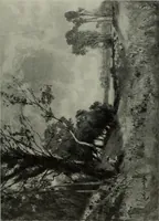 Picture 31 of 509 from International studio (1897), leaf 53