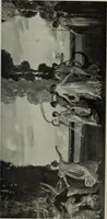 Picture 47 of 509 from International studio (1897), leaf 63
