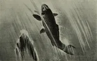 Picture 48 of 509 from International studio (1897), leaf 65