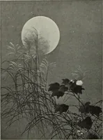 Picture 50 of 509 from International studio (1897), leaf 66