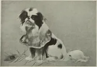 Picture 55 of 509 from International studio (1897), leaf 70