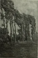 Picture 97 of 509 from International studio (1897), leaf 95