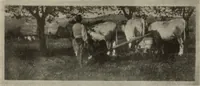 Picture 132 of 537 from International studio (1897), leaf 114