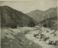 Picture 206 of 537 from International studio (1897), leaf 176
