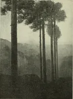Picture 207 of 537 from International studio (1897), leaf 177