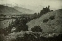 Picture 209 of 537 from International studio (1897), leaf 179