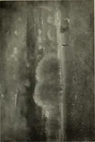 Picture 273 of 537 from International studio (1897), leaf 228