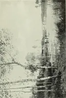 Picture 302 of 537 from International studio (1897), leaf 250