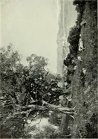 An illustration from International studio (1897)