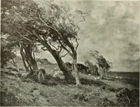 Picture 307 of 537 from International studio (1897), leaf 255