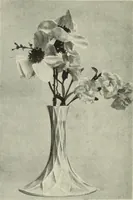 Picture 320 of 537 from International studio (1897), leaf 265