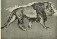 Picture 341 of 537 from International studio (1897), leaf 276