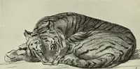 An illustration from International studio (1897)