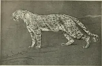 An illustration from International studio (1897)