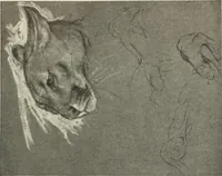 Picture 352 of 537 from International studio (1897), leaf 288