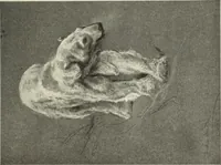 Picture 353 of 537 from International studio (1897), leaf 288