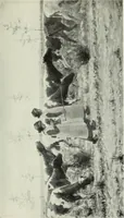 Picture 388 of 537 from International studio (1897), leaf 312