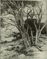 Picture 467 of 537 from International studio (1897), leaf 390