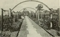 Picture 499 of 537 from International studio (1897), leaf 414