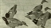 An illustration from International studio (1897)