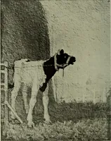 An illustration from International studio (1897)