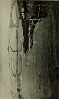 An illustration from International studio (1897)