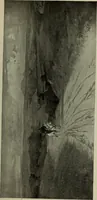 An illustration from International studio (1897)
