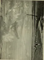 An illustration from International studio (1897)