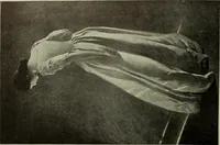 An illustration from International studio (1897)