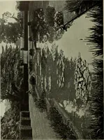 An illustration from International studio (1897)