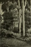 An illustration from International studio (1897)