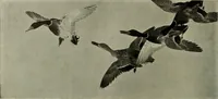 An illustration from International studio (1897)