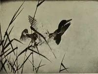 An illustration from International studio (1897)