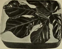 An illustration from International studio (1897)
