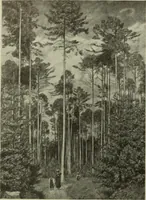 An illustration from International studio (1897)