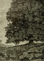 An illustration from International studio (1897)