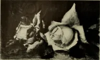 An illustration from International studio (1897)