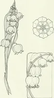 An illustration from International studio (1897)