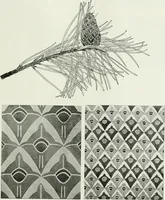 An illustration from International studio (1897)