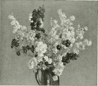 An illustration from International studio (1897)