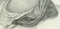 An illustration from International studio (1897)