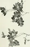 An illustration from International studio (1897)