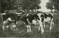 An illustration from International studio (1897)