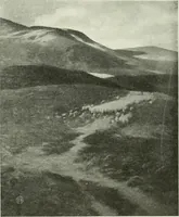 An illustration from International studio (1897)