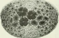 An illustration from International studio (1897)