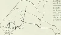 An illustration from International studio (1897)