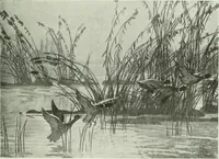 An illustration from International studio (1897)